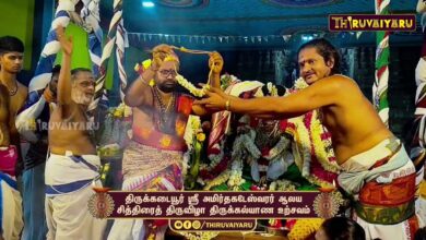 Photo of திருக்கடையூர் ஸ்ரீ அமிர்தகடேஸ்வரர் ஆலய சித்திரைத் திருவிழா திருக்கல்யாண உற்சவம் | Thirukalyanam