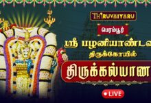 Photo of 🔴 பெரம்பூர் ஸ்ரீ பழனியாண்டவர் திருக்கோவில் திருக்கல்யாணம் | Palaniyandavar Thirukalyanam