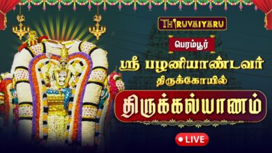 Photo of 🔴 பெரம்பூர் ஸ்ரீ பழனியாண்டவர் திருக்கோவில் திருக்கல்யாணம் | Palaniyandavar Thirukalyanam