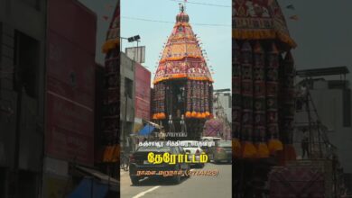 Photo of தஞ்சாவூர் தேரோட்டம் நாளை மறுநாள் (27/4/26)…#thanjai_pasanga_official #thanjavur #trendingreels