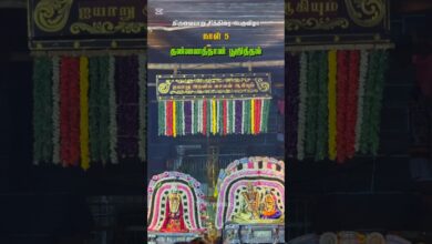 Photo of தன்னைத்தான் பூஜித்தல் #thiruvaiyaru #templefestival #hindufestival #chithiraifestival #southindian
