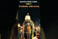 Photo of பொன்னை மண்டகப்படி 💥🔥💐… #thiruvaiyaru #chithiraithiruvizha2026 #ponnai #ponnavarai #aiyarappar