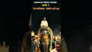 Photo of பொன்னை மண்டகப்படி 💥🔥💐… #thiruvaiyaru #chithiraithiruvizha2026 #ponnai #ponnavarai #aiyarappar