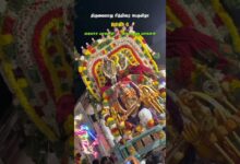 Photo of கைலாச வாகனம் காமதேனு வாகனம் #thiruvaiyaru #chithiraithiruvizha2026 #chithiraifestival #trendingreel