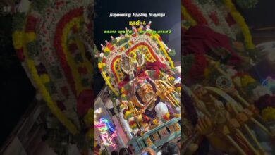 Photo of கைலாச வாகனம் காமதேனு வாகனம் #thiruvaiyaru #chithiraithiruvizha2026 #chithiraifestival #trendingreel