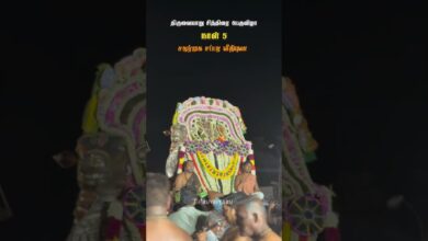 Photo of சதுர்முக சப்பர வீதியுலா #templefestival #hindufestival #tamiltemple #devotional  #thiruvaiyaru