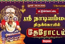 Photo of 🔴LIVE : பட்டுக்கோட்டை ஸ்ரீ நாடியம்மன் திருக்கோயில் தேரோட்டம் | Therottam 2026