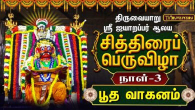 Photo of திருவையாறு ஸ்ரீ ஐயாறப்பர் ஆலய சித்திரைப் பெருவிழா நாள்-3 | Day – 3