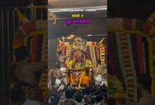 Photo of பூத வாகனம் 🔥💥🙏🏽 #Thiruvaiyaru  #aiyarappar #trending #chithiraifestival #chithiraithiruvizha2026