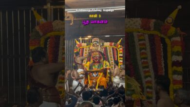 Photo of பூத வாகனம் 🔥💥🙏🏽 #Thiruvaiyaru  #aiyarappar #trending #chithiraifestival #chithiraithiruvizha2026