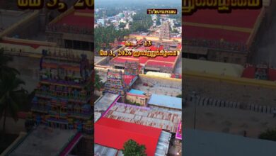 Photo of திருவையாறு ஸ்ரீ ஐயாறப்பர் ஆலய சித்திரைப் பெருவிழா நாள்-12 & 13 | சிறப்பு Promo