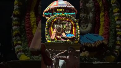 Photo of கரந்தை வைகாசி விசாக பெருவிழா நாள் 2 – சூரிய பிரபை வாகனம் #Karanthai #karanthaikarunasamy