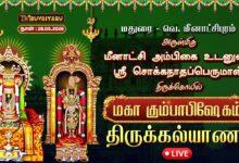 Photo of 🔴LIVE : மதுரை – வெ. மீனாட்சிபுரம் ஸ்ரீ சொக்கநாதப்பெருமான் ஆலய மகா கும்பாபிஷேகம் திருக்கல்யாணம்