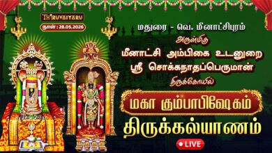 Photo of 🔴LIVE : மதுரை – வெ. மீனாட்சிபுரம் ஸ்ரீ சொக்கநாதப்பெருமான் ஆலய மகா கும்பாபிஷேகம் திருக்கல்யாணம்
