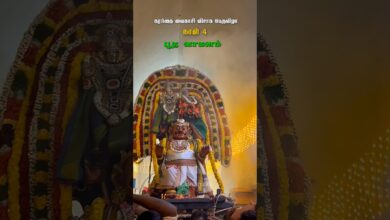 Photo of கரந்தை வைகாசி விசாக பெருவிழா நாள் 4 – பூத வாகனம் #Karanthai #karanthaikarunasamy #tamiltemple
