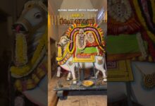 Photo of கரந்தை வைகாசி விசாக பெருவிழா நாள் 5 – பூத வாகனம் #Karanthai #karanthaikarunasamy #tamiltemple #fpy