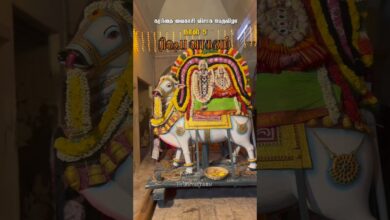 Photo of கரந்தை வைகாசி விசாக பெருவிழா நாள் 5 – பூத வாகனம் #Karanthai #karanthaikarunasamy #tamiltemple #fpy