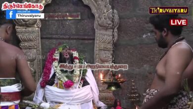Photo of 🔴LIVE : திருச்செங்கோடு ஸ்ரீ அர்த்தநாரீசுவரர் திருக்கோயில் வைகாசி விசாகத் தேர்த்திருவிழா கொடியேற்றம்
