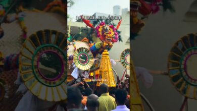 Photo of புஷ்பமண்டப படித்துறை #thiruvaiyaru #hindufestival #chithiraifestival #tamiltemple #templefestival