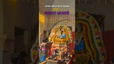 Photo of கரந்தை வைகாசி விசாக பெருவிழா நாள் 7 – கைலாச வாகனம் #Karanthai #karanthaikarunasamy #thiruvaiyaru