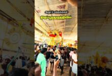 Photo of ஆறூர் பல்லக்குகள் திருப்பூந்துருத்தியில் 🙏🏽…#trending #thiruvaiyaru  #chithiraithiruvizha
