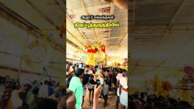 Photo of ஆறூர் பல்லக்குகள் திருப்பூந்துருத்தியில் 🙏🏽…#trending #thiruvaiyaru  #chithiraithiruvizha