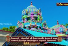 Photo of சிறுபுலியூர் ஸ்ரீ கிருபாசமுத்திர பெருமாள் ஆலய வைகாசி திருவிழா கொடியேற்றம் & பெருமாள் பிரகாரவலம்