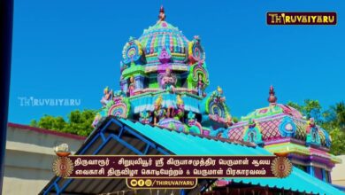 Photo of சிறுபுலியூர் ஸ்ரீ கிருபாசமுத்திர பெருமாள் ஆலய வைகாசி திருவிழா கொடியேற்றம் & பெருமாள் பிரகாரவலம்