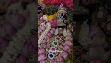 Photo of கரந்தை ஸ்ரீ கருணாசுவாமி ஆலய வைகாசி விசாக பெருவிழா முதல் நாள் சுவாமி புறப்பாடு  #thiruvaiyaru #tamil