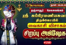 Photo of 🔴LIVE : தஞ்சாவூர் – மேல அலங்கம் ஸ்ரீ சுப்பிரமணியசுவாமி ஆலய வைகாசி விசாக சிறப்பு அபிஷேகம் | Abishekam