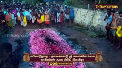 Photo of மயிலாடுதுறை – தலைசங்காடு ஸ்ரீ சல்லிக்கொல்லை மாரியம்மன் ஆலய தீமிதி திருவிழா | Theemithi Thiruvizha