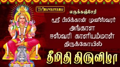 Photo of எருக்கஞ்சேரி ஸ்ரீ பீலிக்கான் முனீஸ்வரர் அங்காள ஈஸ்வரி காளியம்மாள் ஆலய 54ஆம் ஆண்டு தீமிதி திருவிழா