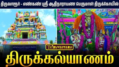 Photo of திருவாரூர் – எண்கண் ஸ்ரீ ஆதிநாராயண பெருமாள் திருக்கோயில் திருக்கல்யாணம் | Thirukalyanam