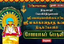 Photo of 🔴LIVE : திருவாரூர் – கோவில்திருமாளம் ஸ்ரீ மகாகாளநாத சுவாமி ஆலய சோமயாகப் பெருவிழா | Somayagam