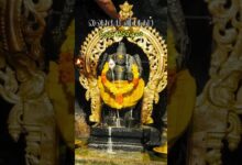Photo of வைகாசி விசாகம் சிறப்பு அபிஷேகம் #thiruvaiyaru #murugan_vibes #kandhasastikavasam #vaikasivisakam