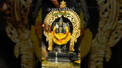 Photo of வைகாசி விசாகம் சிறப்பு அபிஷேகம் #thiruvaiyaru #murugan_vibes #kandhasastikavasam #vaikasivisakam