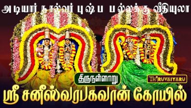 Photo of திருநள்ளாறு ஸ்ரீ சனீஸ்வரபகவான் ஆலய வைகாசி பிரம்மோற்சவ விழா அடியார் நால்வர் புஷ்ப பல்லக்கு வீதியுலா