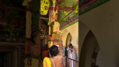 Photo of கரந்தை ஸ்ரீ கருணாசுவாமி ஆலய வைகாசி விசாக பெருவிழா கொடியேற்றம் #thiruvaiyaru #karanthai #tamiltemple
