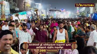 Photo of பொன்னேரி ஸ்ரீ கரிகிருஷ்ண பெருமாள் ஆலய ஹரிஹரன் சந்திப்பு பெருவிழா | Hariharan Sandhippu Peruvizha