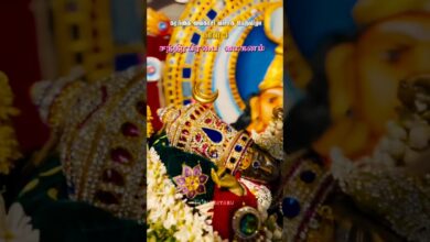 Photo of கரந்தை வைகாசி விசாக பெருவிழா சந்திரபிரபை வாகனம் #Karanthai #karanthaikarunasamy #thiruvaiyaru