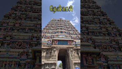 Photo of தென்காசி ஸ்ரீ காசி விஸ்வநாதர் கோவில் #Tenkasi #kasi #thiruvaiyaru #tamiltemple  #temple_architecture