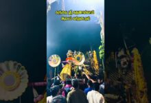 Photo of கரந்தை ஸ்ரீ கருணாசாமி பல்லக்கு ஆலயம் வந்தடைதல் #thiruvaiyaru #karanthai #trending #fyp #thanjavur
