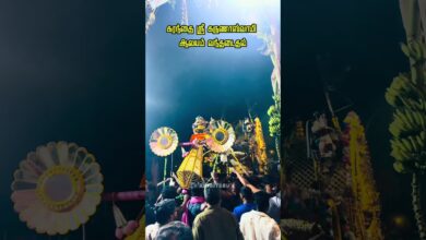 Photo of கரந்தை ஸ்ரீ கருணாசாமி பல்லக்கு ஆலயம் வந்தடைதல் #thiruvaiyaru #karanthai #trending #fyp #thanjavur