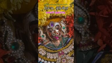 Photo of லிங்கத்தடி புதுத்தெரு ஸ்ரீ காளியம்மன் ஆலய பால்குட விழா சுவாமி புறப்பாடு  #thiruvaiyaru #kaliyamman