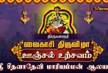 Photo of திருவாரூர் ஸ்ரீ சீதளாதேவி மாரியம்மன் ஆலய வைகாசி திருவிழா ஊஞ்சல் உற்சவம் | Unjal Sevai