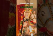 Photo of கரந்தை வைகாசி விசாக பெருவிழா நாள் 8 – குதிரை வாகனம் #Karanthai #karanthaikarunasamy #thiruvaiyaru