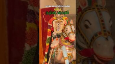 Photo of கரந்தை வைகாசி விசாக பெருவிழா நாள் 8 – குதிரை வாகனம் #Karanthai #karanthaikarunasamy #thiruvaiyaru