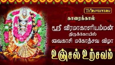 Photo of காரைக்கால் ஸ்ரீ வீரமாகாளியம்மன் ஆலய வைகாசி மகோத்சவ விழா உஞ்சல் உற்சவம் | Unjal Urchavam