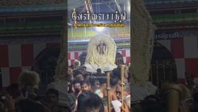Photo of காரைக்கால் மாங்கனி திருவிழா ஸ்ரீ பிக்ஷாடனர் வெள்ளைசாத்தி புறப்பாடு #thiruvaiyaru #karaikkal #mangani