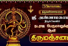 Photo of திருவண்ணாமலை ஸ்ரீ அண்ணாமலையார் ஆலய நடராஜ பெருமானுக்கு ஆனி திருமஞ்சனம் | Aani Thirumanjanam